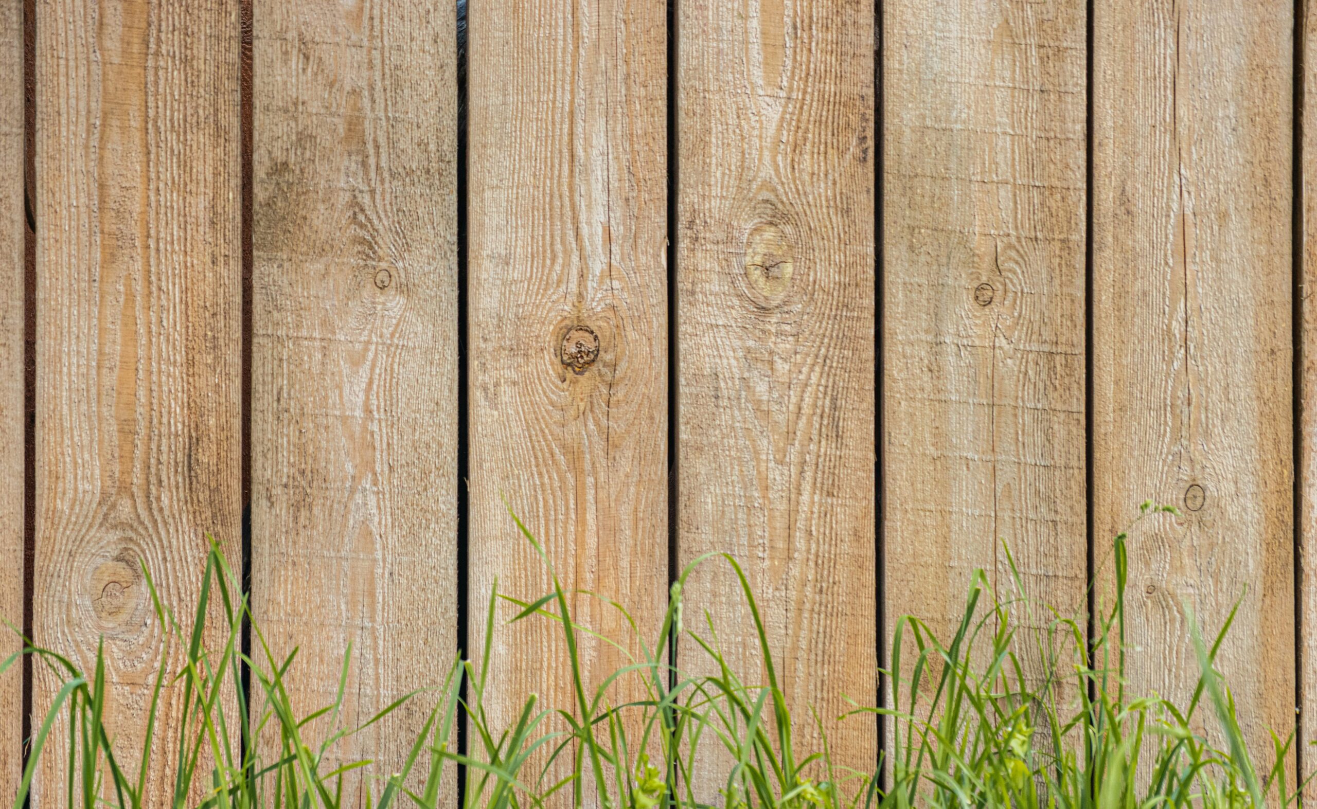 Choosing the Right Wood Fence for Your Property