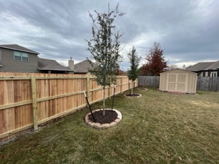 wood fencing